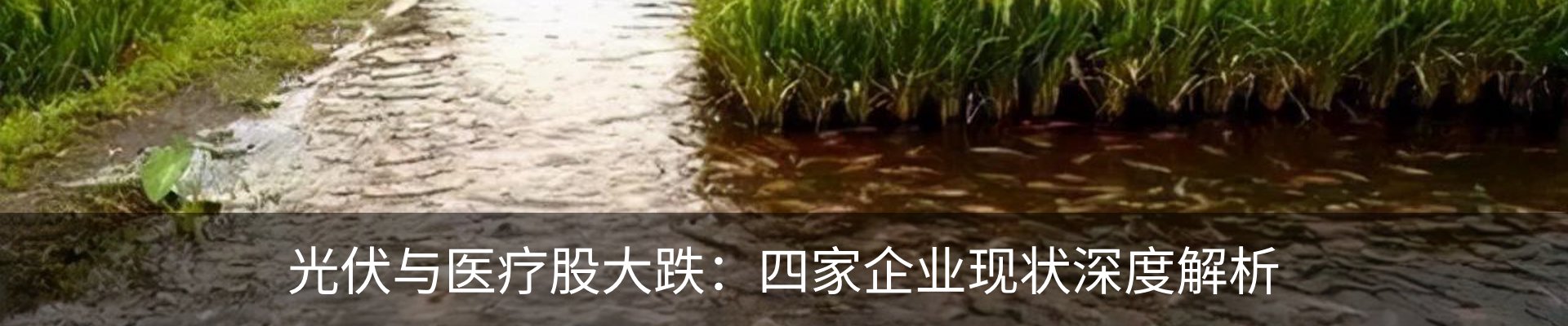 资讯动态