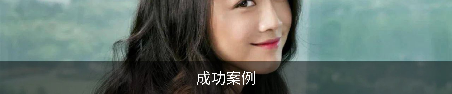成功案例