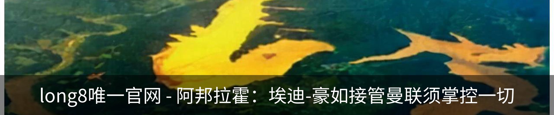 资讯动态